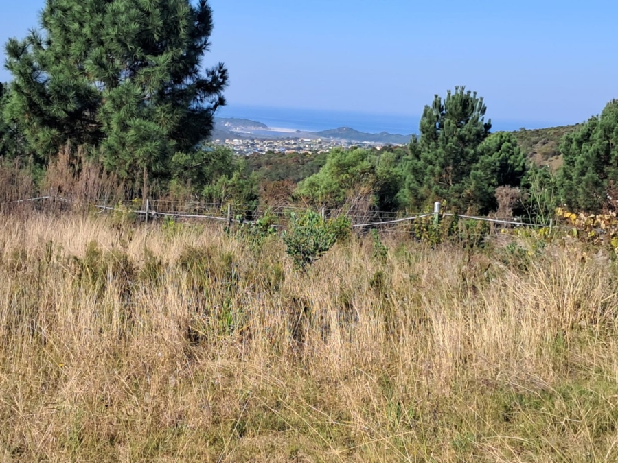 2 Bedroom Property for Sale in Rheeboksfontein Western Cape